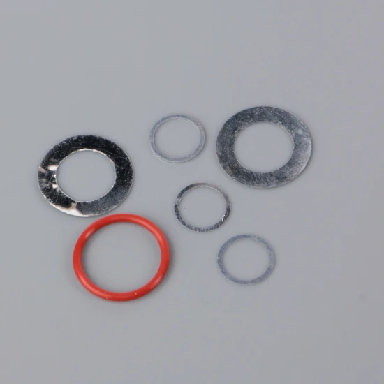 SC Gasket set (exhaust, cylinder head, backplate) (for SCAP09)
