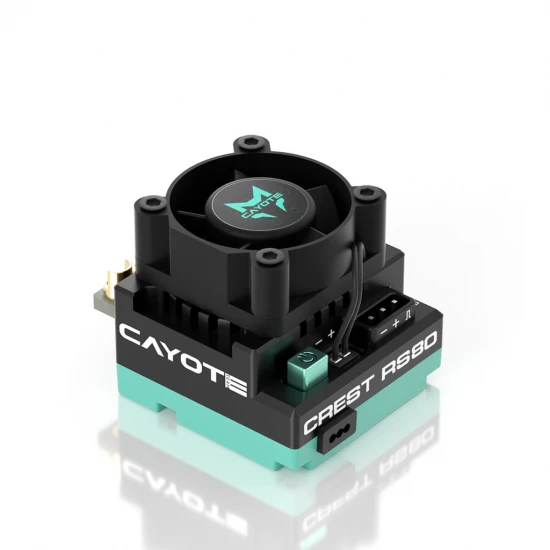 CAYOTE CREST RS80 1:10 Stock Competition ESC