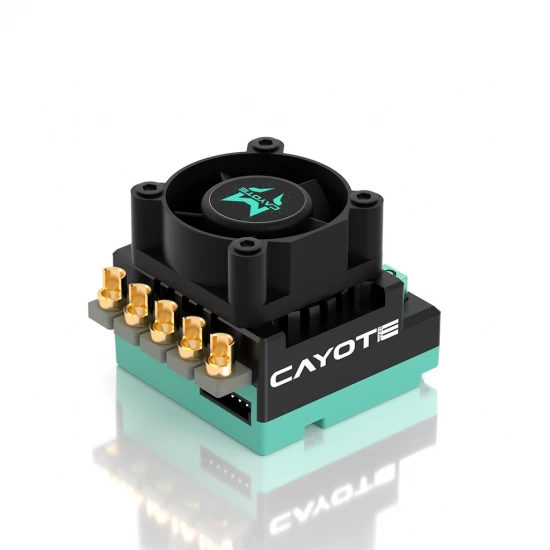 Cayote Crest Rs60 1:10 Stock Competition ESC