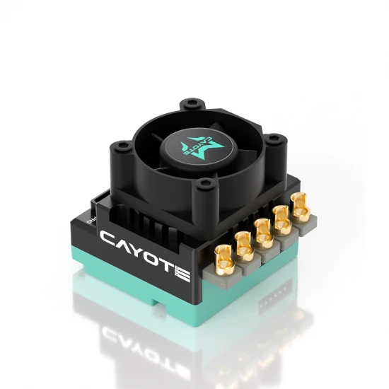 Cayote Crest Rs60 1:10 Stock Competition ESC