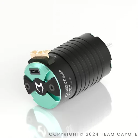 CAYOTE 1:8 CREST 4268 1900KV Brushless Motor
