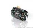 CAYOTE CREST 1:10 Stock Motor 10.5T