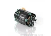 CAYOTE CREST 1:10 Stock Motor 13.5T