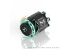 CAYOTE CREST 1:10 Stock Motor 13.5T
