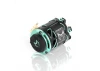 CAYOTE CREST Brushless Motor - 8T