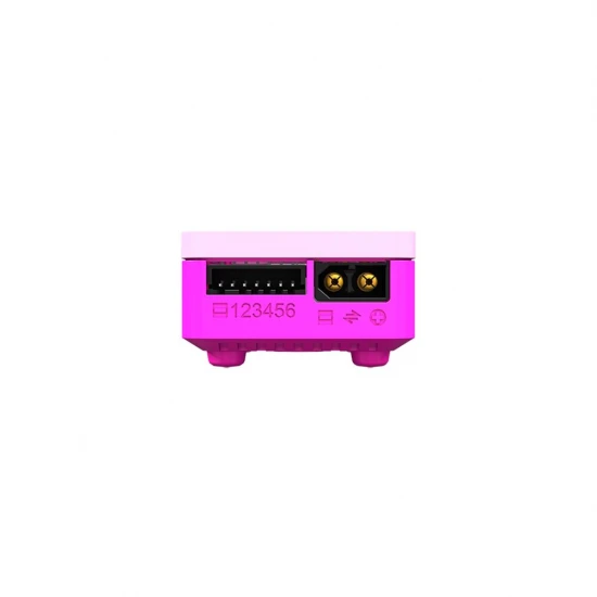SKY RC B6neo+ DC Smart Charger - Pink