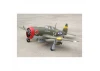 Seagull P-47D, Little Bunny MkII (10cc) 1.39m / 55in with Electric Retracts