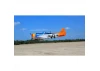 Seagull P-47 Thunderbolt, Tarheel Hal (30-38cc) 1.77m / 70in with Electric Retracts