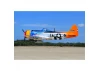 Seagull P-47 Thunderbolt, Tarheel Hal (30-38cc) 1.77m / 70in with Electric Retracts