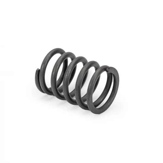 Traxxas Servo saver spring