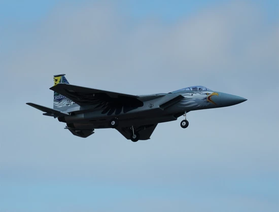 XFly F-15 Twin 40mm EDF 710mm Jet - ARTF - Grey