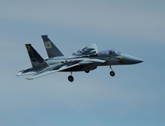 XFly F-15 Twin 40mm EDF 710mm Jet - ARTF - Grey