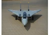 XFly F-14 Tomcat  Twin 40mm EDF 700mm Jet ARTF