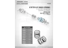 XRay XLP Spring Set C 3.0 (2)