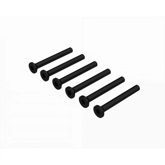 Flat Head Screw M2.5x22mm (6)